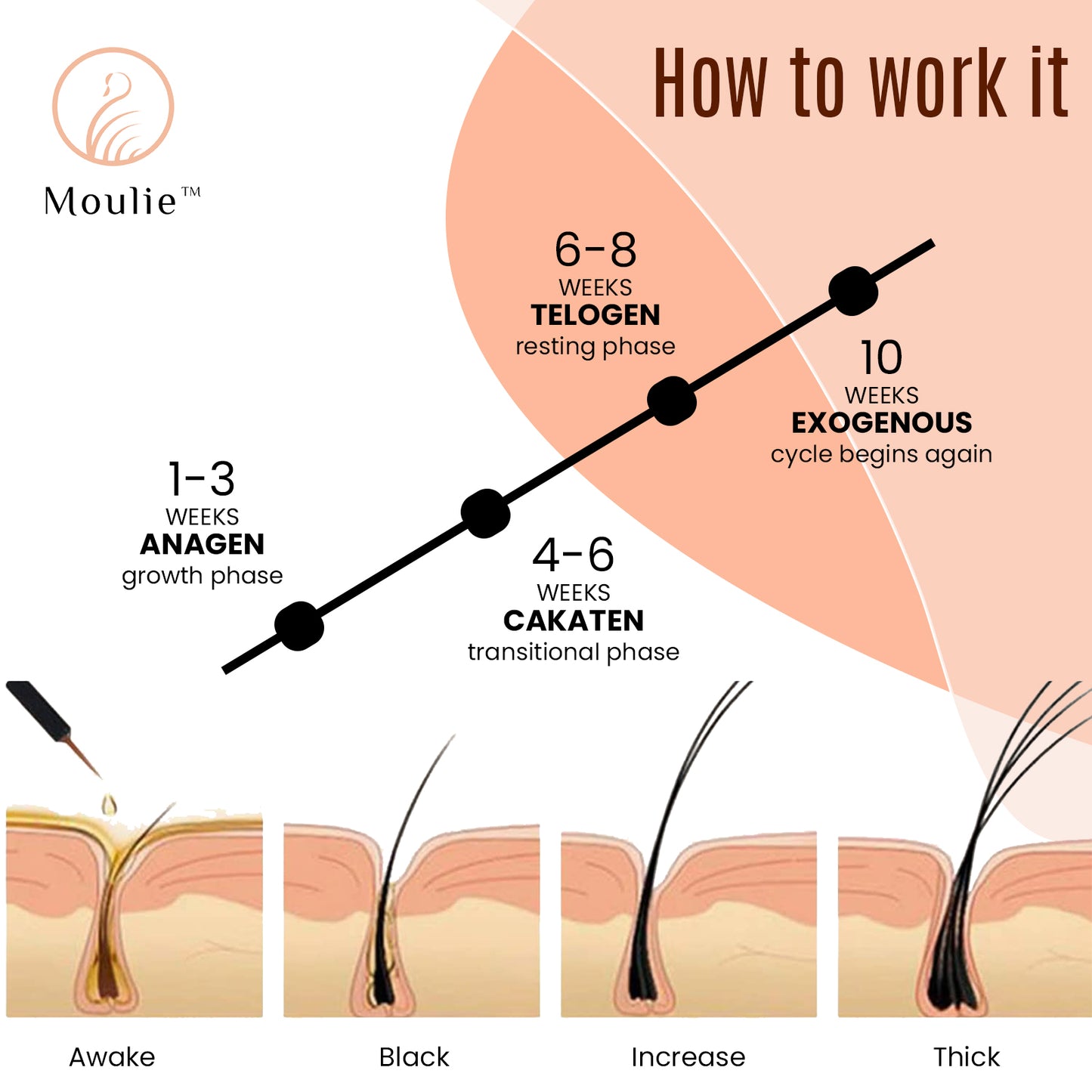 Moulie Eyelash Growth Serum
